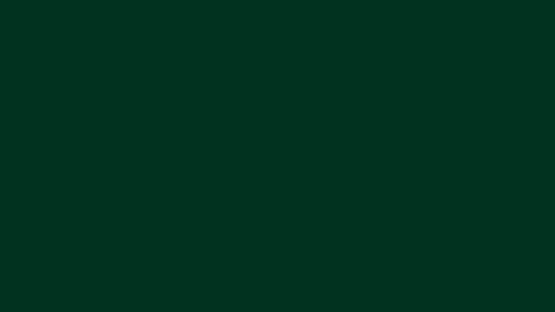 10 New Dark Green Background Images FULL HD 1080p For PC Desktop 2024 free download 1920x1080 dark green solid color background 800x450