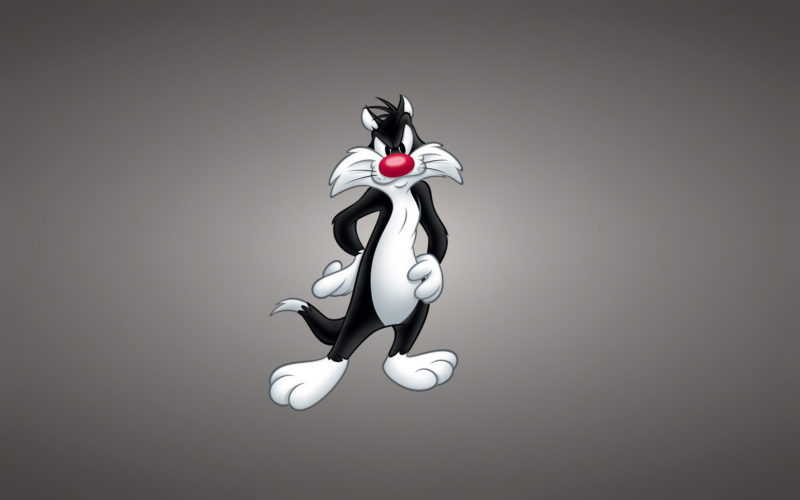 10 Most Popular Looney Toons Wallpapers FULL HD 1080p For PC Background 2024 free download 2 sylvester looney tunes hd wallpapers background images 800x500