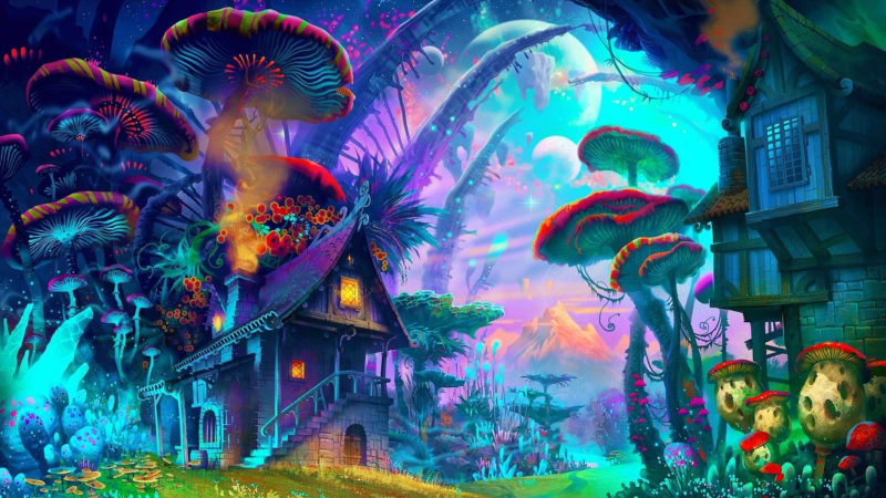 10 Top Magic Mushroom Wallpaper FULL HD 1080p For PC Background 2023 free download 57 shrooms wallpapers on wallpaperplay 800x450