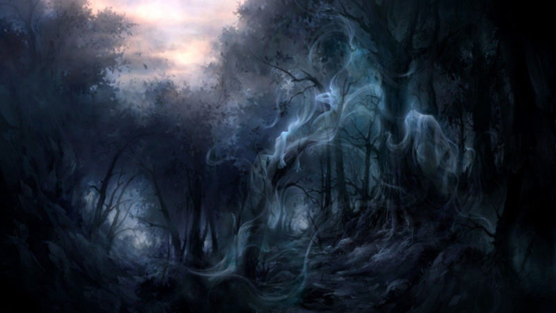 10 Most Popular Dark Enchanted Forest Background FULL HD 1920×1080 For PC Background 2022 free download 63 haunted forest wallpapers on wallpaperplay 800x450