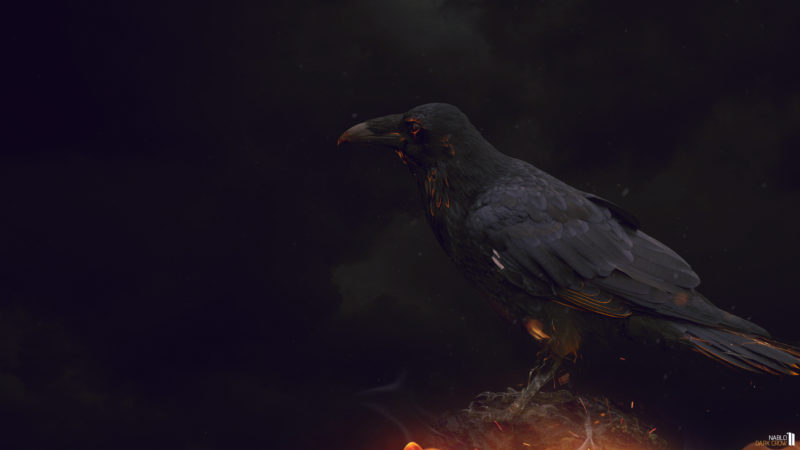 10 Top Black Crow Wallpaper FULL HD 1920×1080 For PC Background 2024 free download 70 crow desktop wallpapers on wallpaperplay 1 800x450