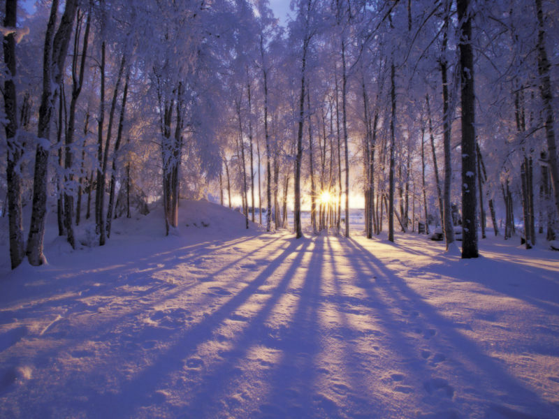 10 Best Winter Scenes For Desktop FULL HD 1080p For PC Desktop 2022 free download 9685 winter scene desktop background 800x600