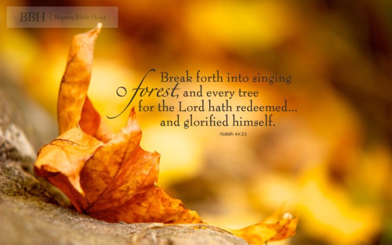 10 New Fall Scripture Wallpaper FULL HD 1080p For PC Desktop 2022 free download bible verse backgrounds ecosia 800x500