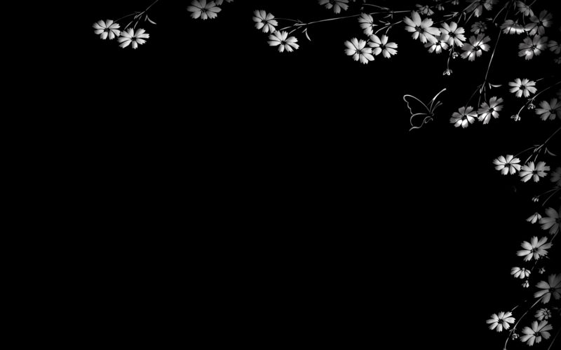 10 Best Black Flower Wallpaper FULL HD 1080p For PC Background 2024 free download black and white flowers wallpapers hd pixelstalk 2 800x500
