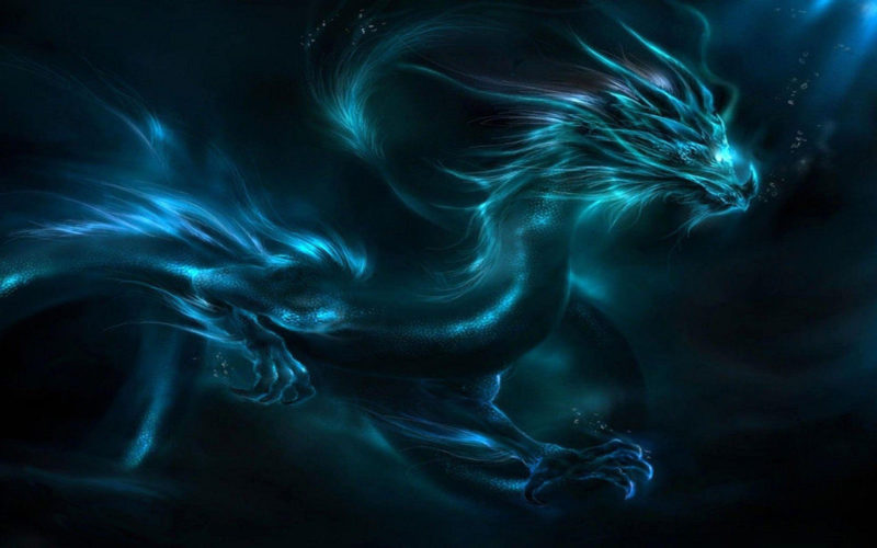 10 Top Blue Dragon Pic FULL HD 1920×1080 For PC Background 2022 free download blue dragon wallpapers wallpaper cave 2 800x500