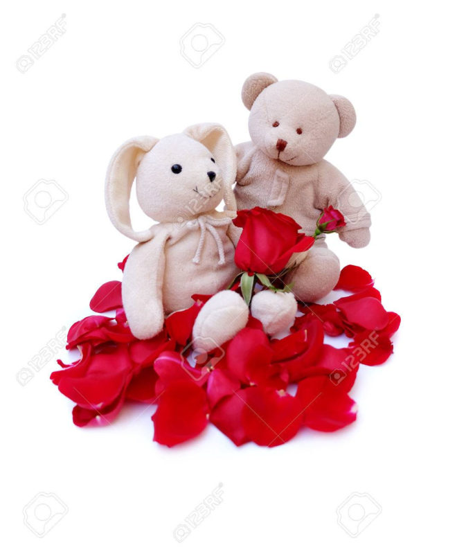 10 Latest Cute Teddy Bear Pics FULL HD 1080p For PC Background 2022 free download cute teddy bear hold red roses for a special someone on a specific 660x800