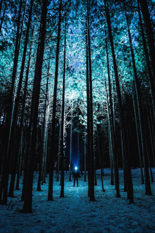 10 Most Popular Night Forest Wallpaper FULL HD 1920×1080 For PC Desktop 2022 free download download wallpaper 800x1200 man night forest light trees iphone 533x800