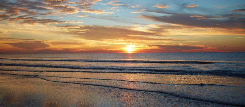 10 Latest Images Of Beach FULL HD 1080p For PC Desktop 2024 free download explore the best beaches of hilton head south carolina 800x351