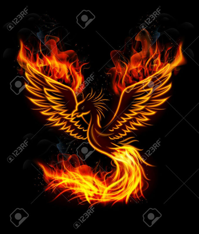 10 Latest Pics Of Phoenix FULL HD 1920×1080 For PC Desktop 2022 free download illustration of fire burning phoenix bird with black background 678x800