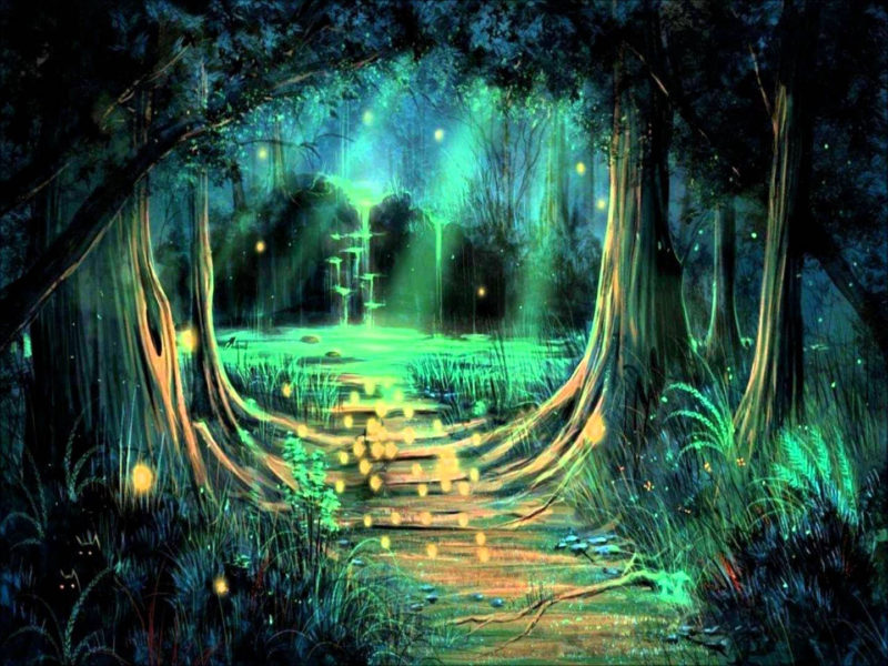 10 Most Popular Dark Enchanted Forest Background FULL HD 1920×1080 For PC Background 2024 free download image result for enchanted forest background father daughter dance 800x600