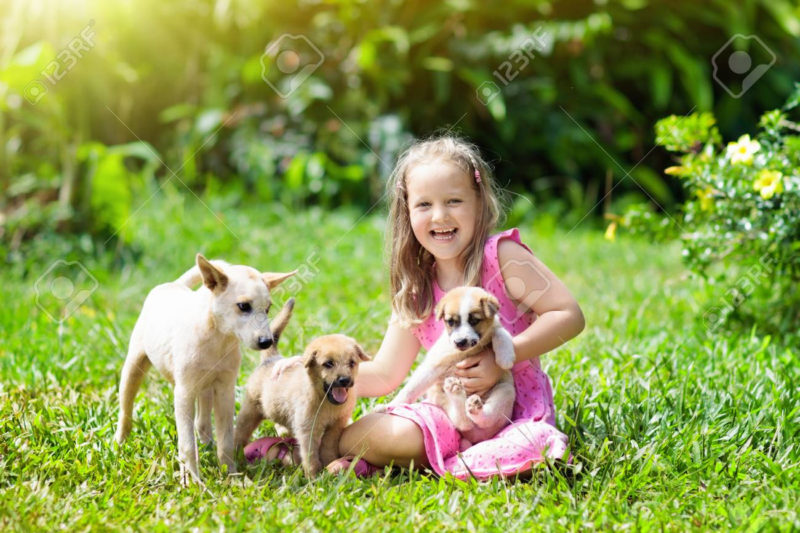 10 Top Images Of Baby Dogs FULL HD 1920×1080 For PC Desktop 2022 free download kids play with cute little puppy children and baby dogs playing 800x533