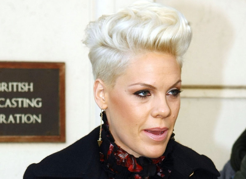 10 New Pictures Of Pink The Singer FULL HD 1920×1080 For PC Desktop 2024 free download pink blastedfans on instagram for dangerous photo of the 800x583