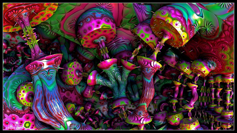 10 Top Magic Mushroom Wallpaper FULL HD 1080p For PC Background 2023 free download psychedelic mushroom wallpapers top free psychedelic mushroom 800x450