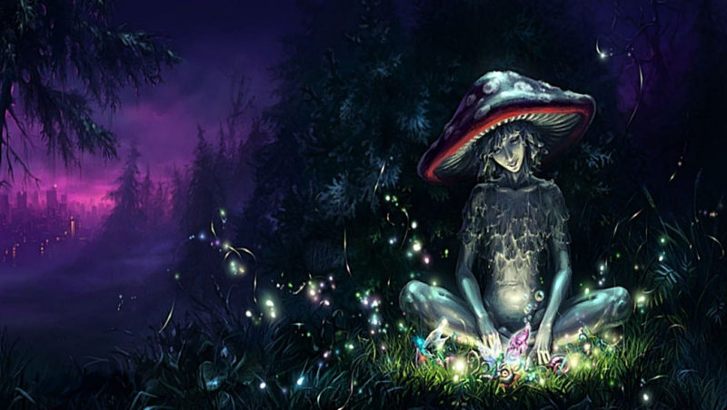 10 Top Magic Mushroom Wallpaper FULL HD 1080p For PC Background 2023 free download psychedelic mushrooms wallpapers wallpaper cave 800x452
