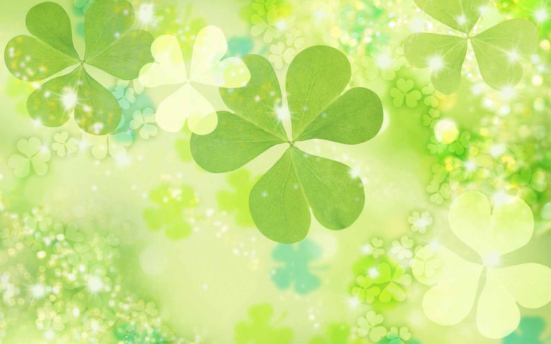 10 New Saint Patricks Day Wallpapers FULL HD 1920×1080 For PC Desktop 2022 free download st patricks day wallpapers and background images stmed 2 800x500