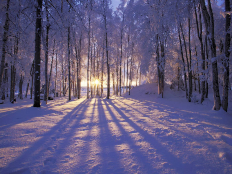 10 Best Winter Scenes For Desktop FULL HD 1080p For PC Desktop 2022 free download winter scenes desktop wallpapers wallpaper cave 800x600