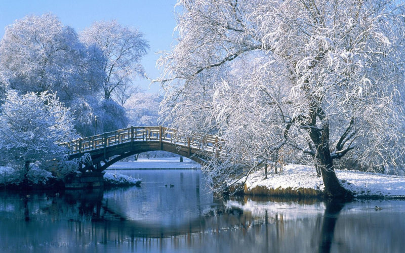 10 Best Winter Scenes For Desktop FULL HD 1080p For PC Desktop 2022 free download winter scenes for desktop wallpapers hd wallpapers inn bridges 1 800x500