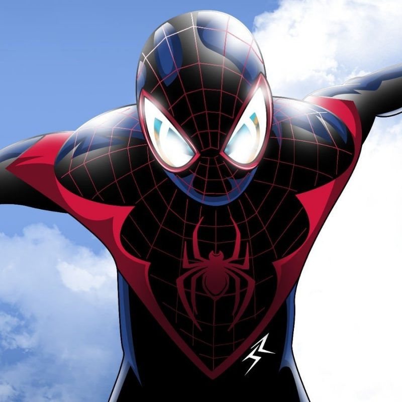 10 New Pictures Of Spider Man Cartoon FULL HD 1920×1080 For PC Desktop 2022 free download 10 of the best spider man costumes from the marvel universe 800x800