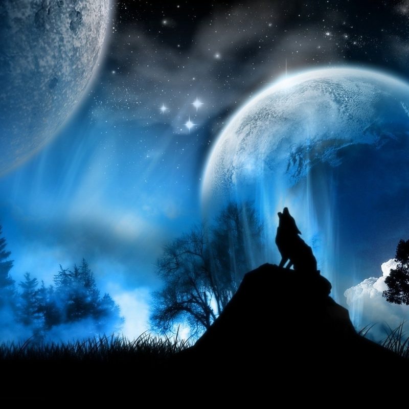 10 Latest Fantasy Wolf Wallpaper Hd FULL HD 1920×1080 For PC Desktop 2022 free download 128 wolf hd wallpapers background images wallpaper abyss 800x800