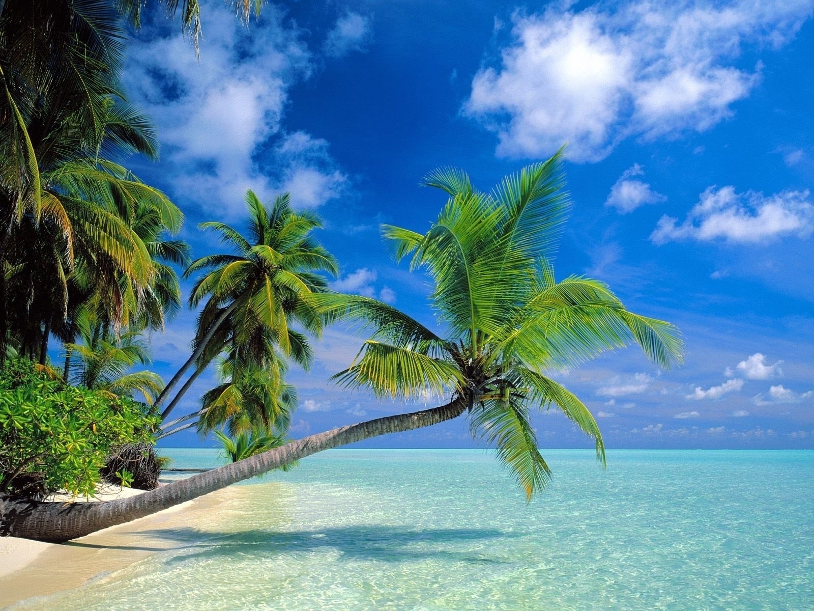 10 Best Ocean Beach Hd Wallpaper FULL HD 1080p For PC ...