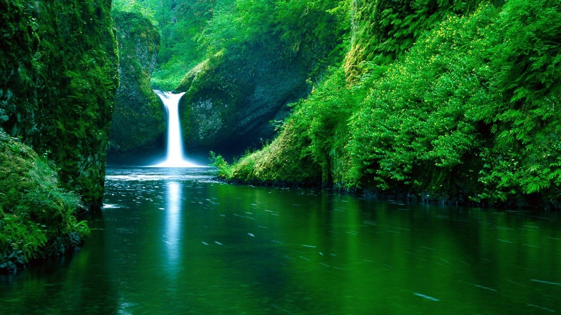10 Best Nature Hd Wallpaper 1920X1080 FULL HD 1080p For PC Background