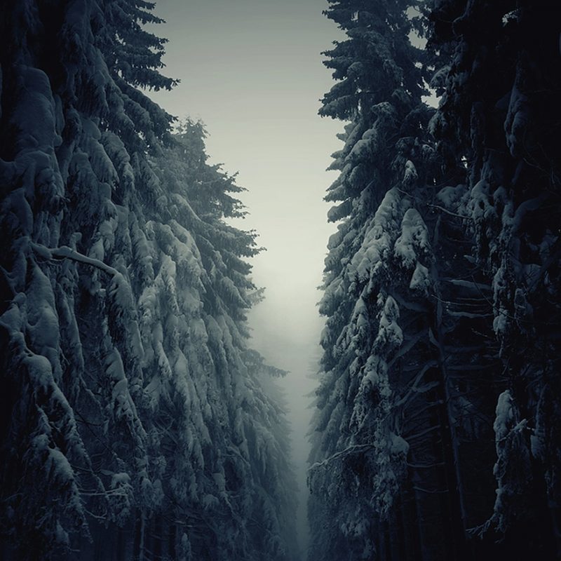 10 Most Popular Images Of Winter Landscapes FULL HD 1920×1080 For PC Desktop 2024 free download 20 breathtaking photos of winter landscapes bored panda 800x800