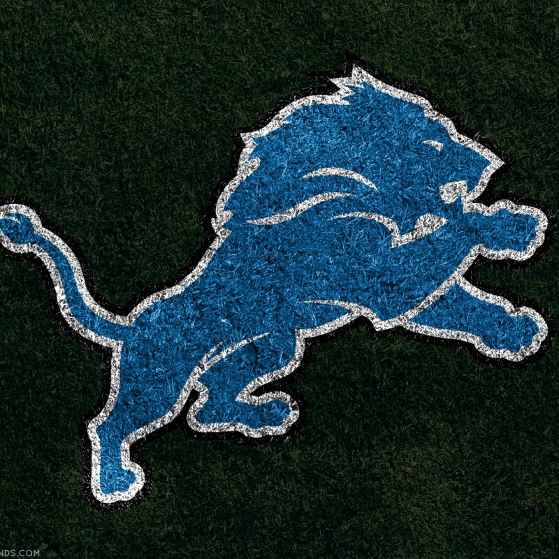 10 Latest Detroit Lions Phone Wallpaper FULL HD 1080p For PC Background 2023 free download 2018 detroit lions wallpapers pc iphone android 1 800x800