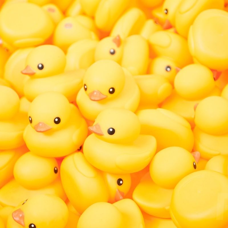 10 Top Rubber Duck Wall Paper FULL HD 1080p For PC Background 2022 free download 25 best rubber ducky wallpapers in high quality odile gethins 800x800
