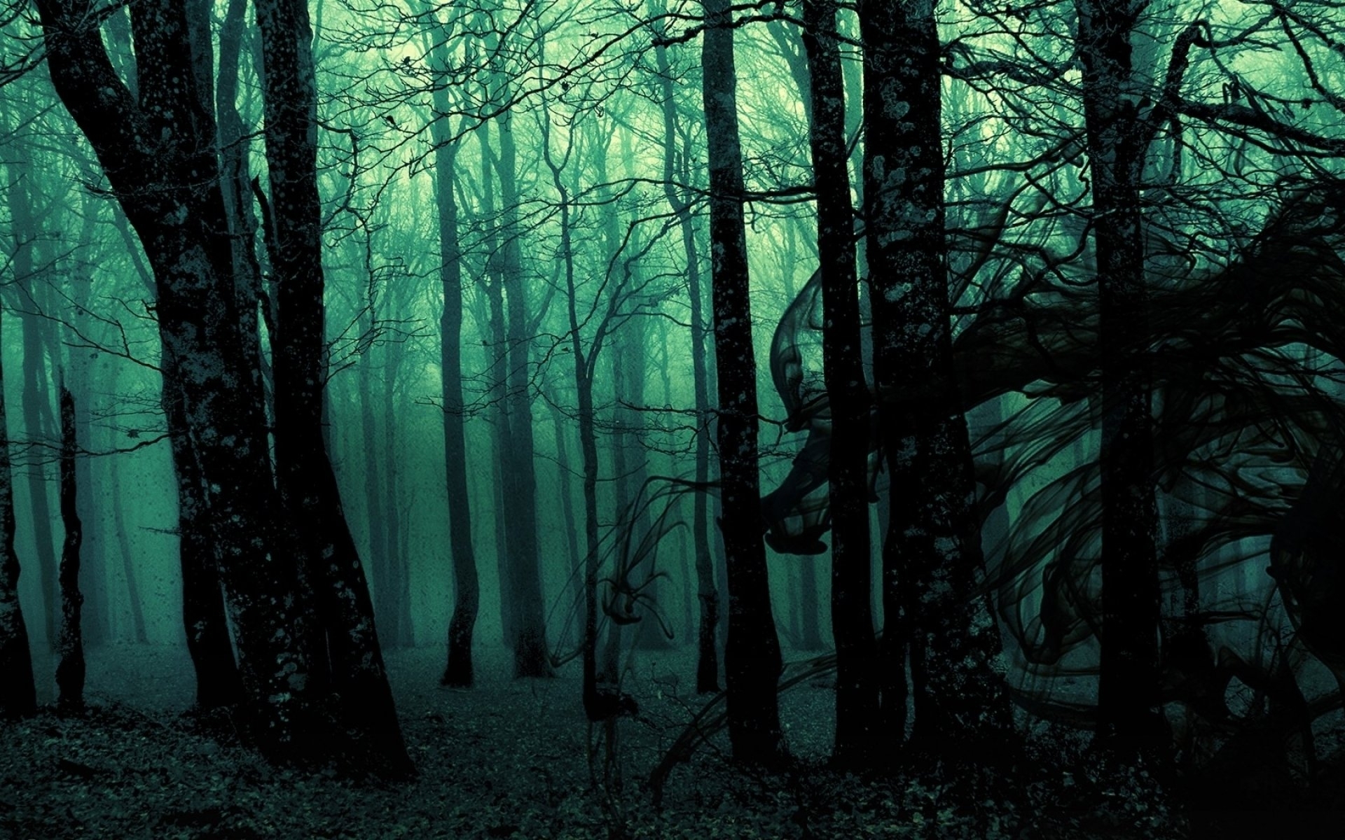 10 New Dark Forest Background Tumblr FULL HD 1920×1080 For PC Desktop