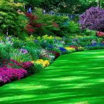 263 garden hd wallpapers | background images - wallpaper abyss