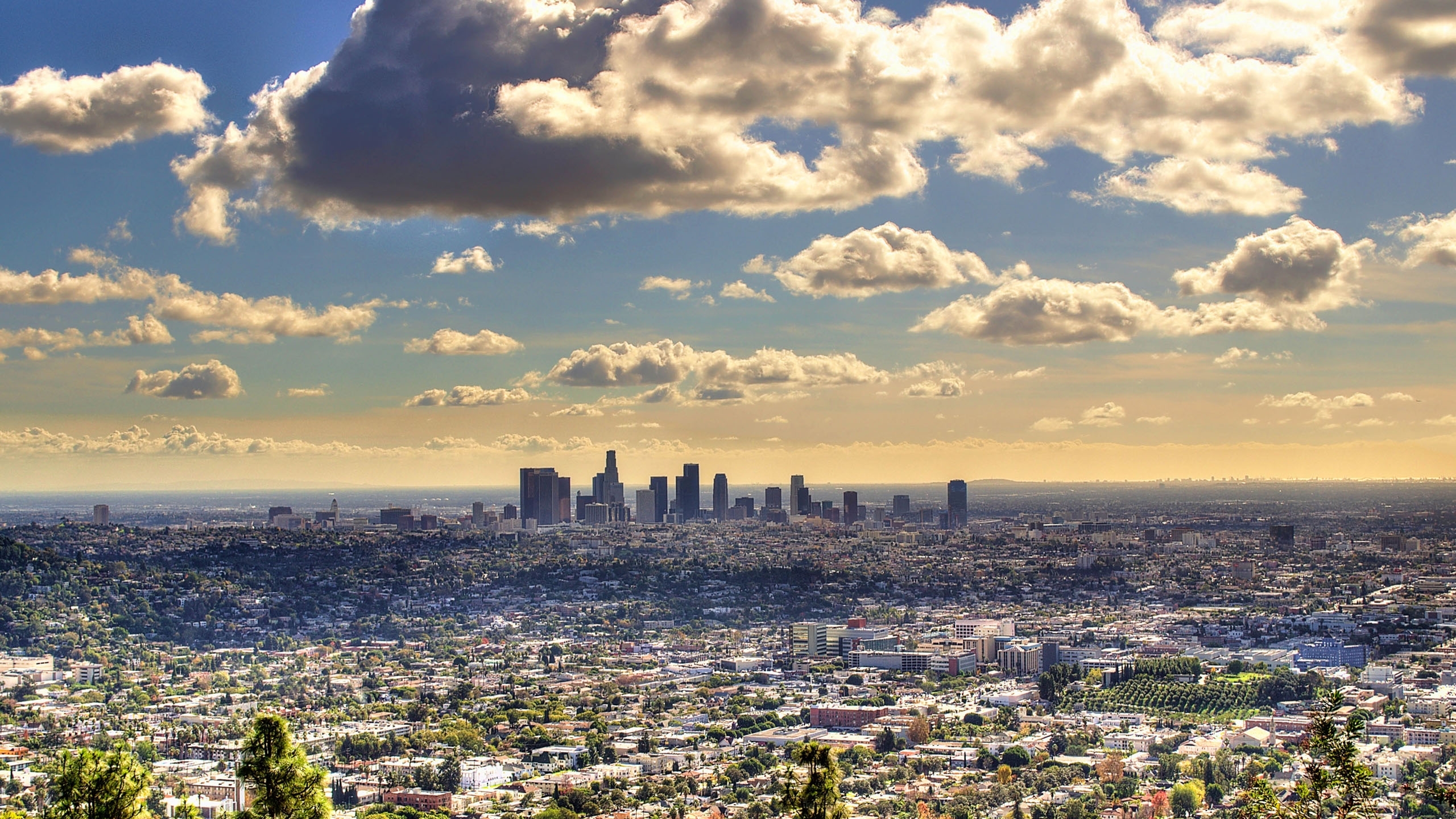 10 Top Hd Los Angeles Wallpaper FULL HD 1080p For PC Background