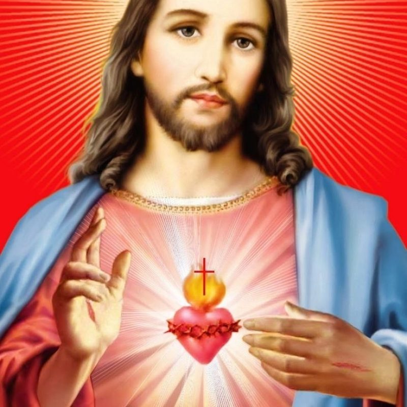 10 Best Sacred Heart Of Jesus Images FULL HD 1080p For PC Desktop 2022 free download 467 best sacred heart of jesus images on pinterest sacred heart 4 800x800