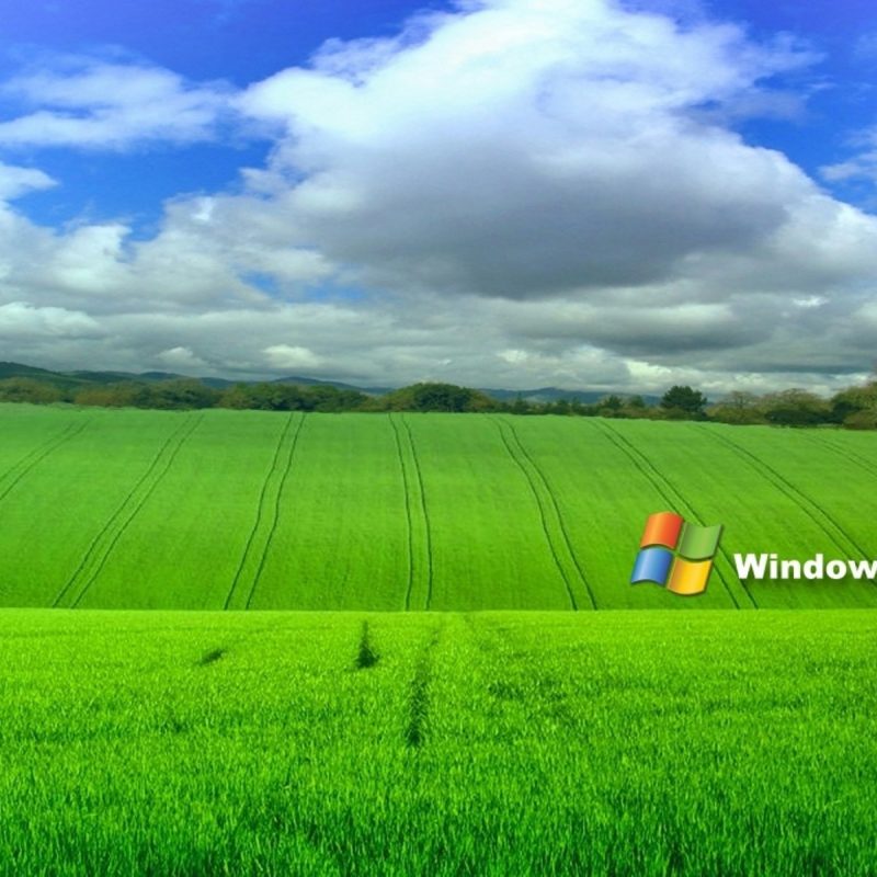 10 New Windows Xp Background Hd FULL HD 1080p For PC Background 2023 free download 50 cool windows xp wallpapers in hd for free download 2 800x800