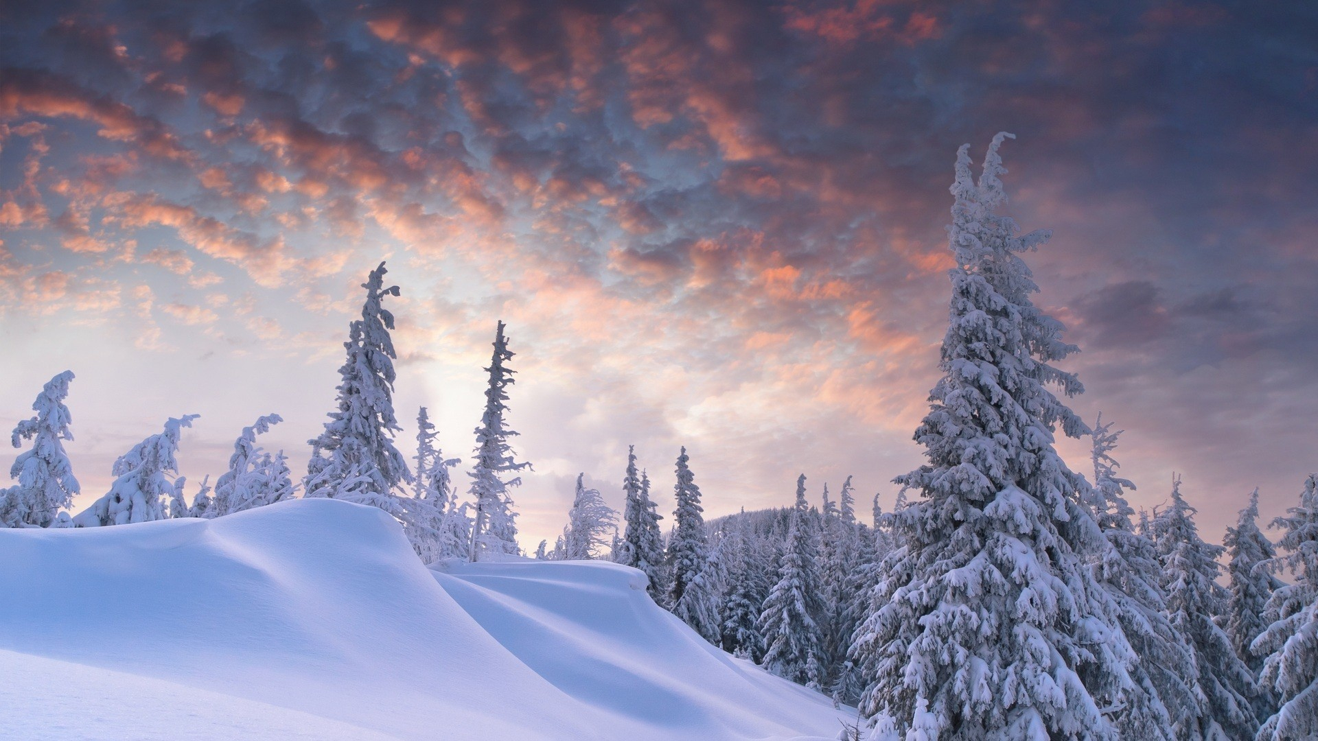 10 Most Popular Snowy Winter Scene Wallpaper FULL HD 1920×1080 For PC Desktop