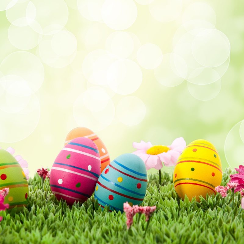 10 Most Popular Happy Easter Desktop Wallpaper FULL HD 1920×1080 For PC Background 2022 free download 649 easter hd wallpapers background images wallpaper abyss 800x800