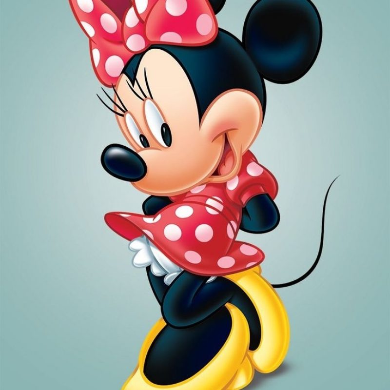 10 New Mickey And Minnie Mouse Pic FULL HD 1920×1080 For PC Background 2024 free download 6649 best mickey minnie mouse images on pinterest mickey minnie 800x800
