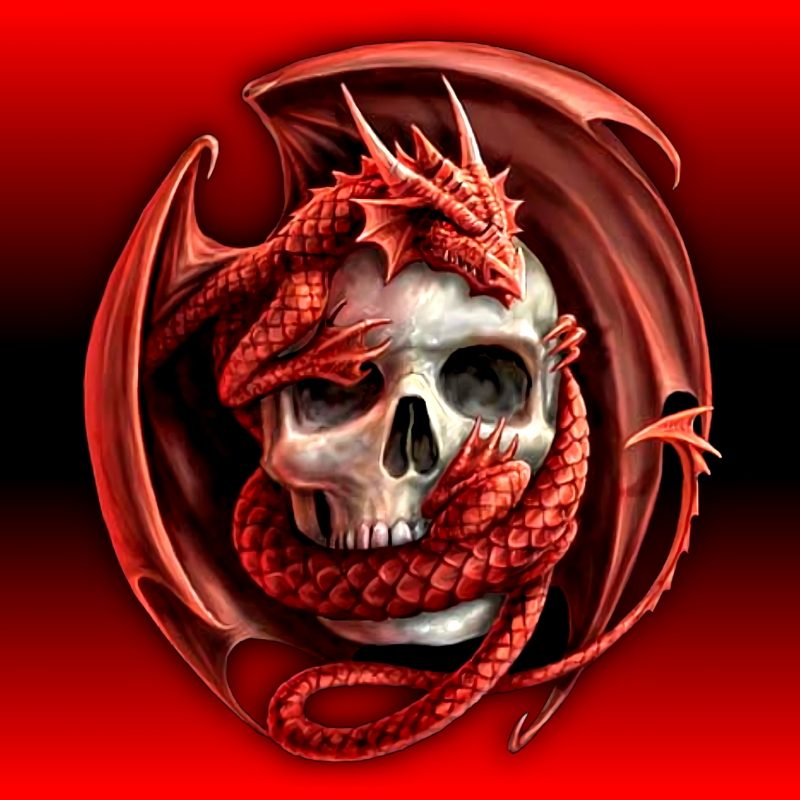 10 New Danger  Skull Wallpapers  Free  Download  FULL HD  1920 