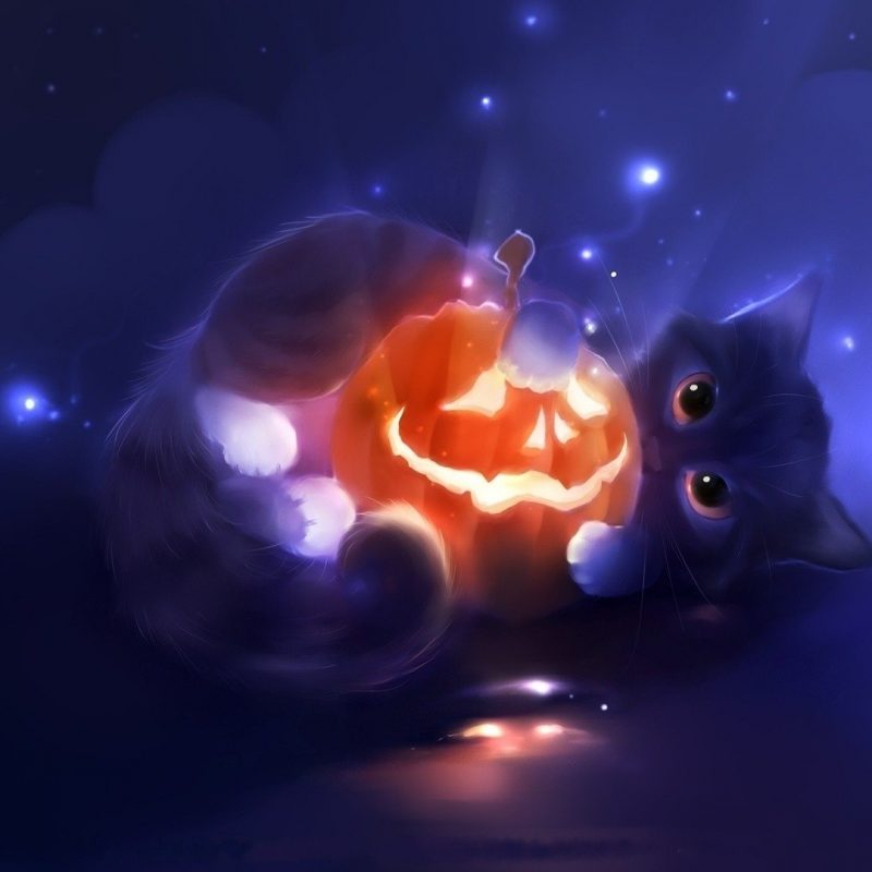 10 New Cute Halloween Hd Wallpaper FULL HD 1920×1080 For PC Background 2024 free download 794 halloween hd wallpapers background images wallpaper abyss 800x800