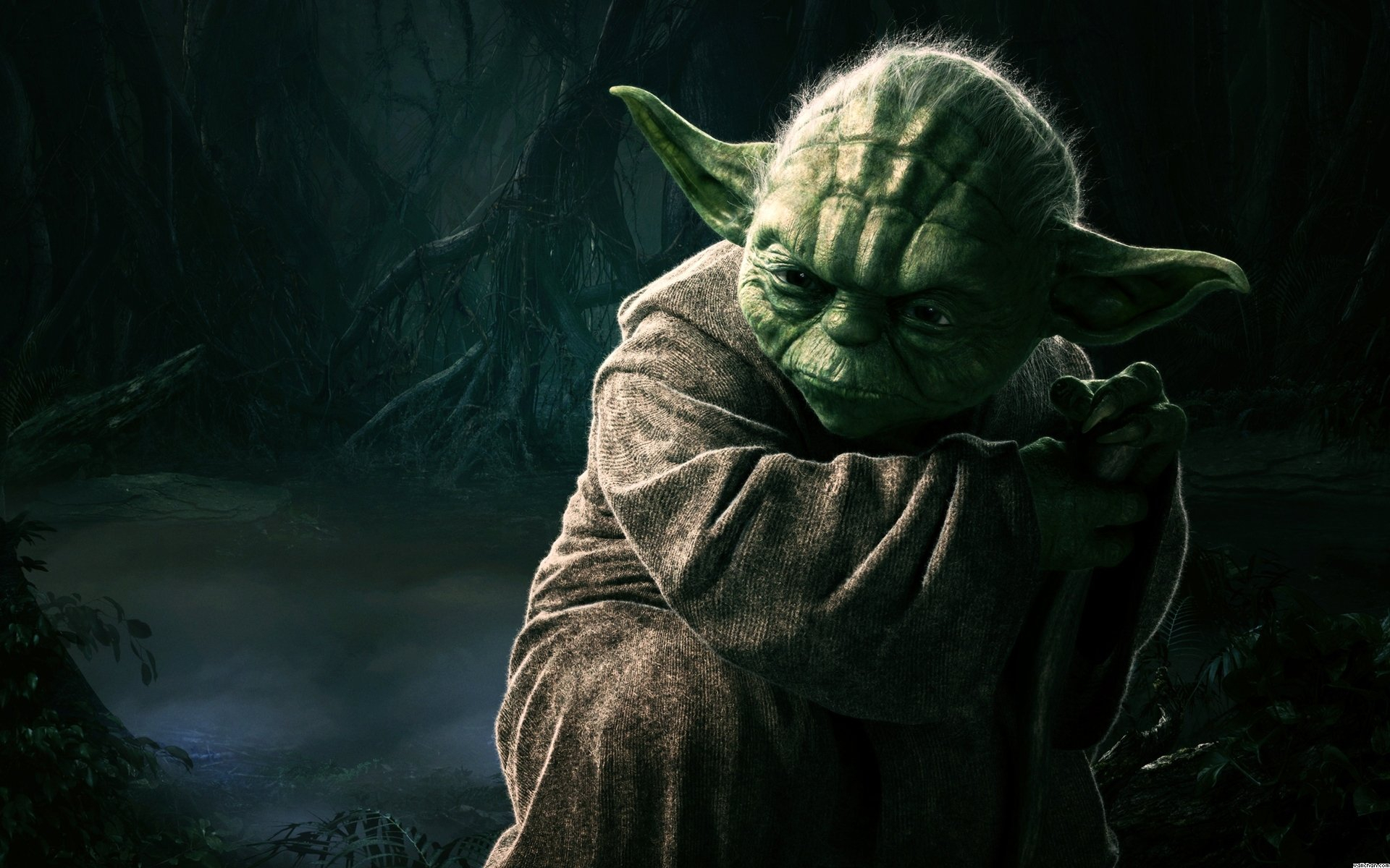 95 yoda hd wallpapers | background images - wallpaper abyss