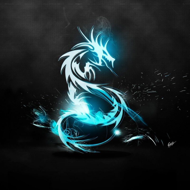 10 Top Black And Blue Dragon Wallpaper FULL HD 1920×1080 For PC Background 2022 free download abstract blue blue dragon logos amd black background 2560x1440 800x800