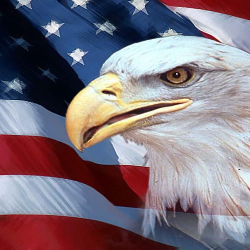 10 Most Popular American Flag Eagle Background FULL HD 1080p For PC Background 2022 free download american flag and eagle hd desktop wallpaper instagram photo 1 800x800
