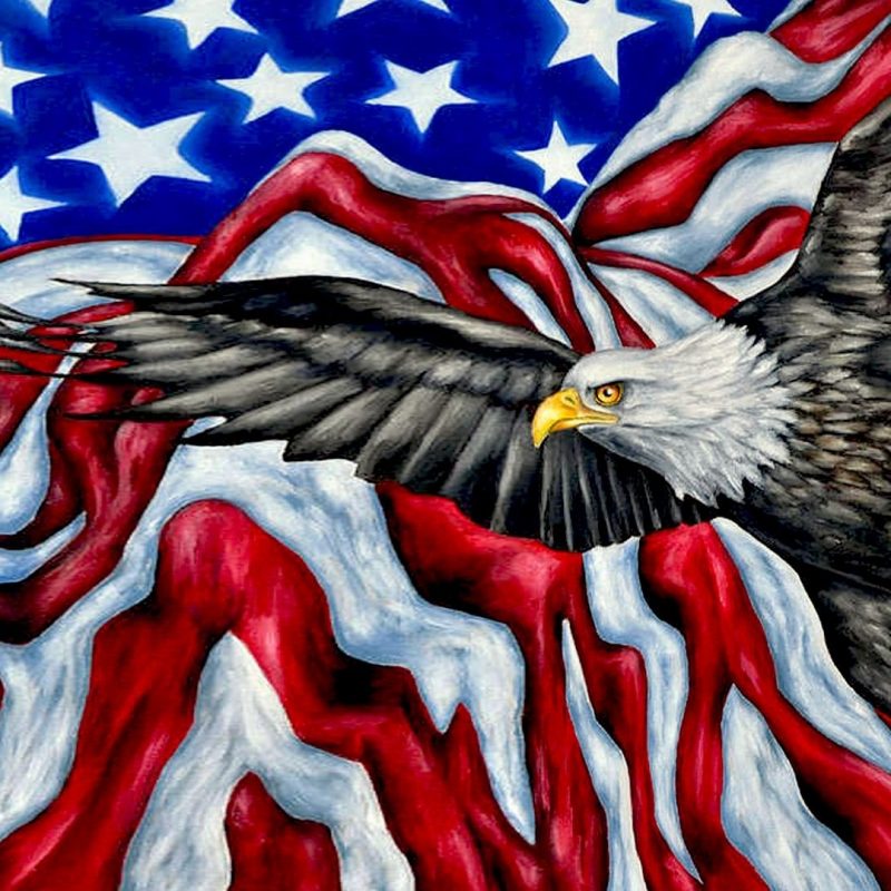 10 Most Popular American Flag Eagle Wallpaper FULL HD 1080p For PC Desktop 2022 free download american symbols bald eagle american flag mountains desktop hd 800x800