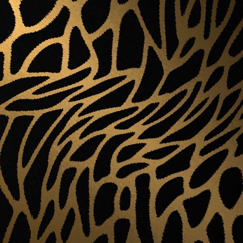 10 New Leopard Print Wallpaper Hd FULL HD 1080p For PC Background 2023 free download animal print wallpaper hd wallpaper fresh leopard print wallpaper 800x800