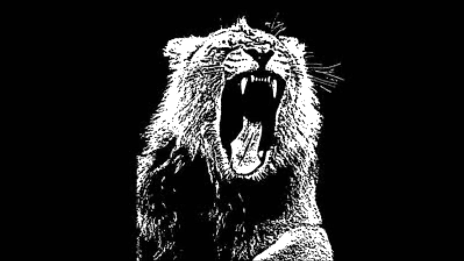 10 Best Martin Garrix Animals Logo FULL HD 1920×1080 For PC Background