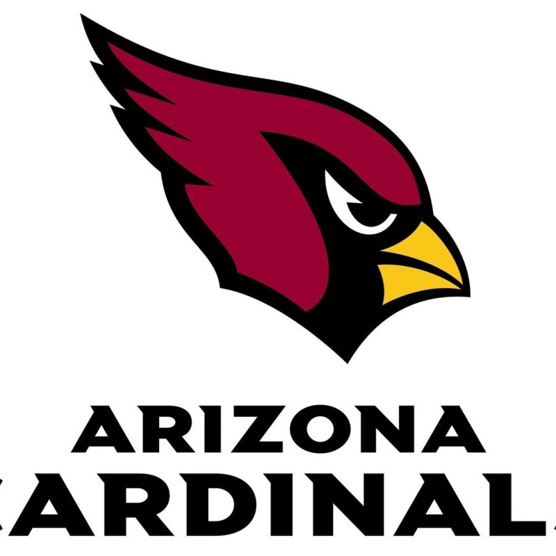 10 Most Popular Arizona Cardinals Logo Wallpaper FULL HD 1080p For PC Background 2022 free download arizona cardinals nfl football team hd widescreen wallpaper 800x800