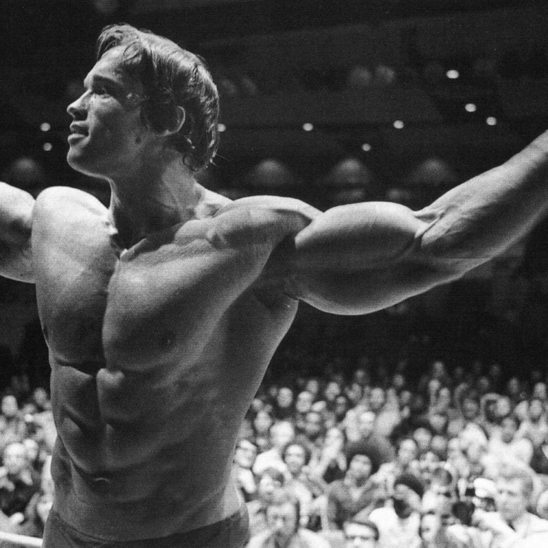 10 New Arnold Schwarzenegger Hd Wallpaper FULL HD 1920×1080 For PC Background 2024 free download arnold schwarzenegger wallpapers high resolution and quality download 800x800