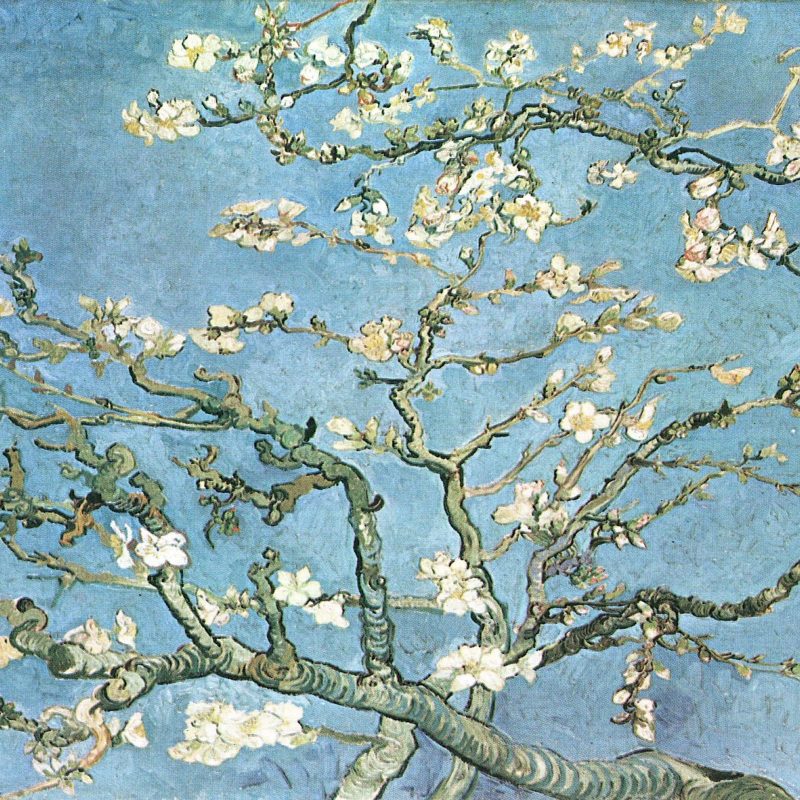 10 Top Van Gogh Almond Blossoms Wallpaper FULL HD 1920×1080 For PC Background 2023 free download art blossoming almond tree branches vincent van gogh wallpaper 800x800