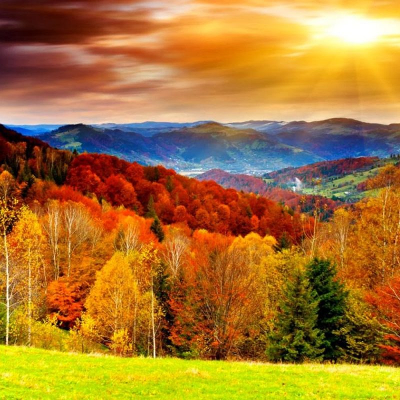 10 New Free Computer Backgrounds For Fall FULL HD 1920×1080 For PC Background 2023 free download autumn desktop wallpaper wallpapers browse 800x800