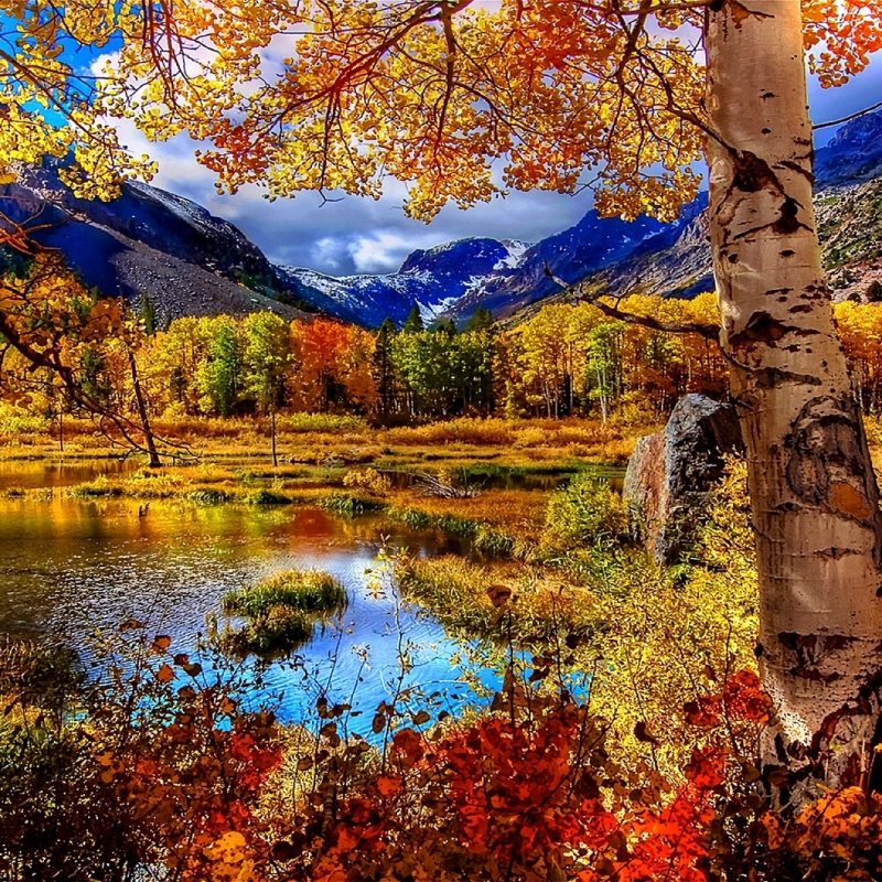 10 Best Autumn Scenery Wallpaper Hd FULL HD 1920×1080 For PC Desktop 2022 free download autumn scenery wallpaper wallpaper studio 10 tens of thousands 800x800