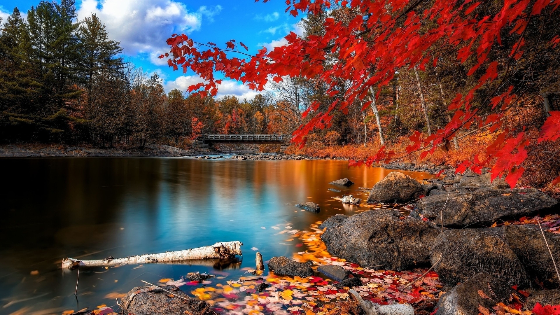 10 Best Autumn Scenery Wallpaper Hd Full Hd 1920×1080 For Pc Desktop 2023